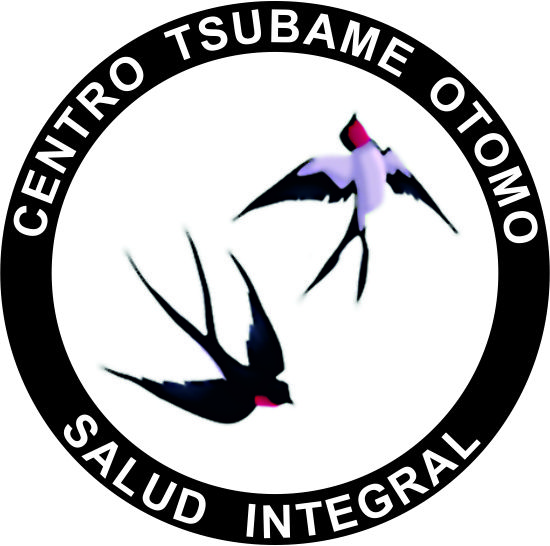 Centro Tsubame Otomo
