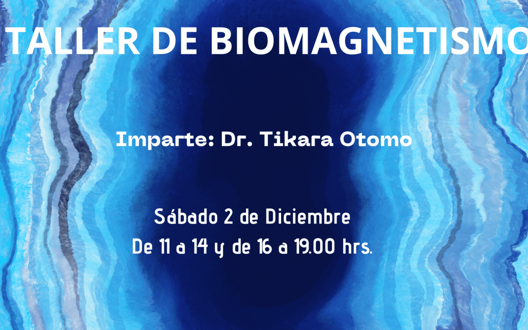 Taller de biomagnetismo