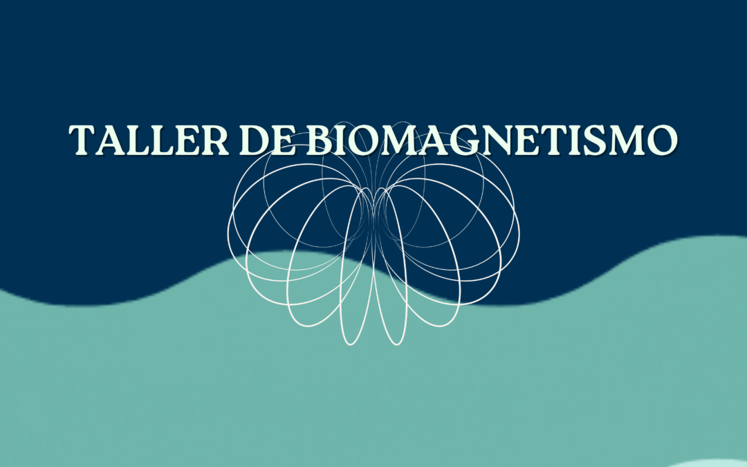 Taller de Biomagnetismo