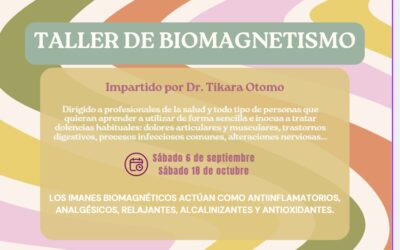 Taller de Biomagnetismo