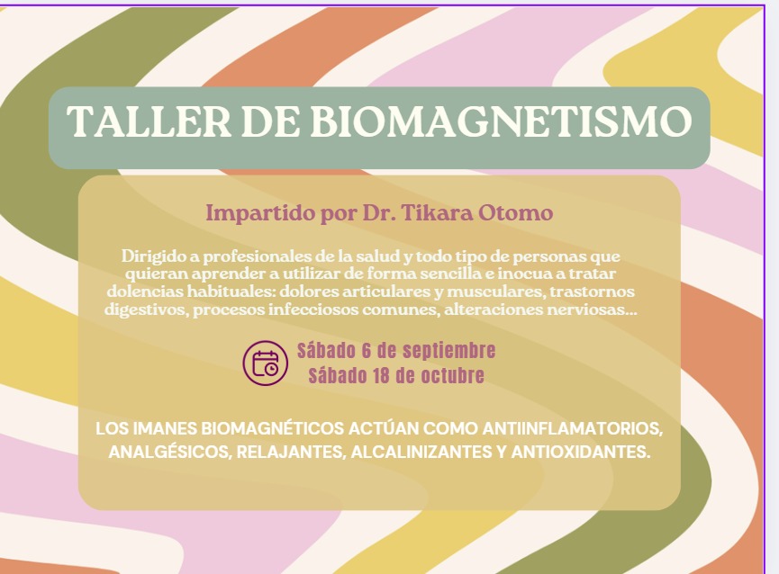Taller de Biomagnetismo