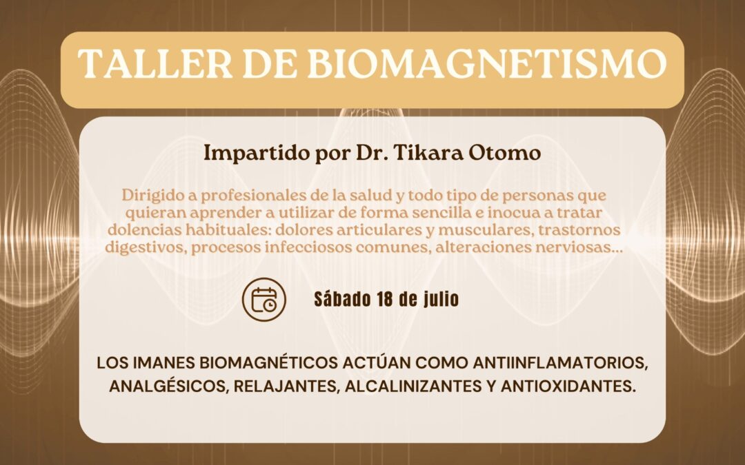 Taller de Biomagnetismo